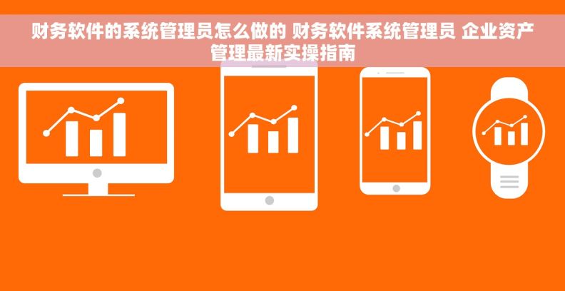 财务软件的系统管理员怎么做的 财务软件系统管理员 企业资产管理最新实操指南