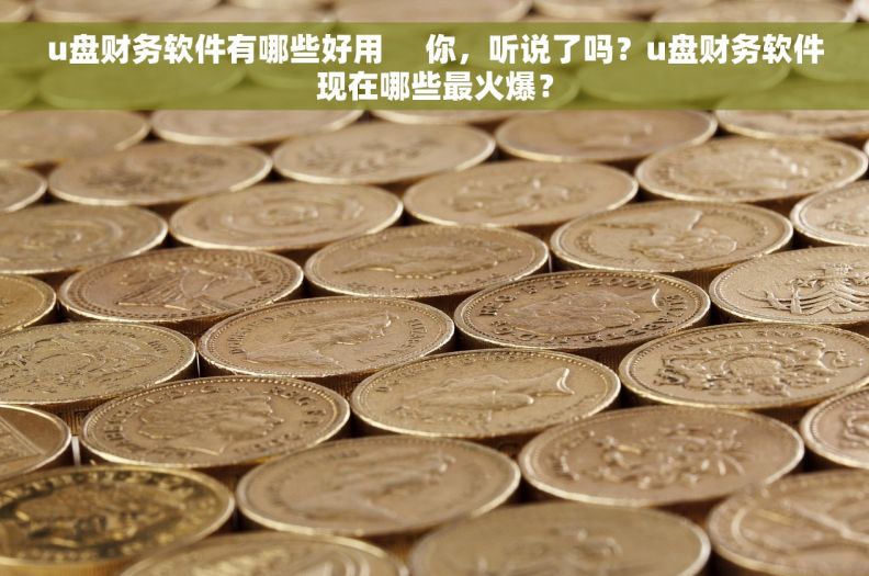 u盘财务软件有哪些好用     你，听说了吗？u盘财务软件现在哪些最火爆？