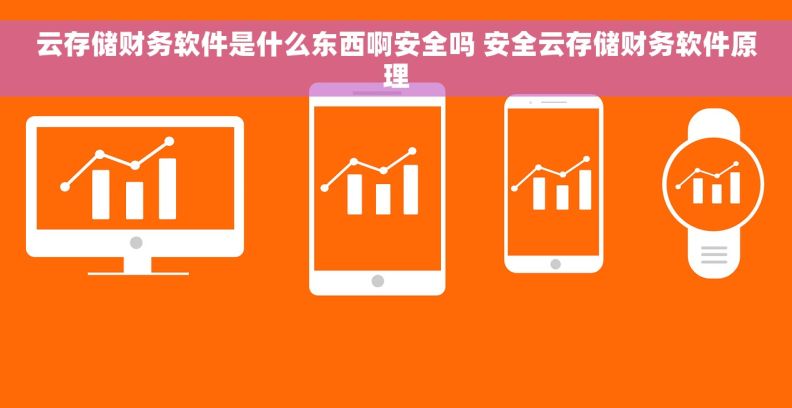 云存储财务软件是什么东西啊安全吗 安全云存储财务软件原理