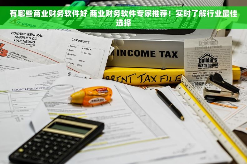 有哪些商业财务软件好 商业财务软件专家推荐！实时了解行业最佳选择