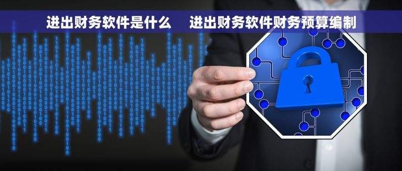 进出财务软件是什么     进出财务软件财务预算编制