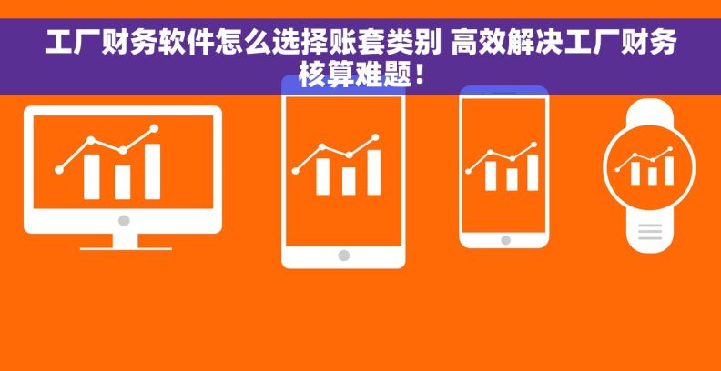 工厂财务软件怎么选择账套类别 高效解决工厂财务核算难题！