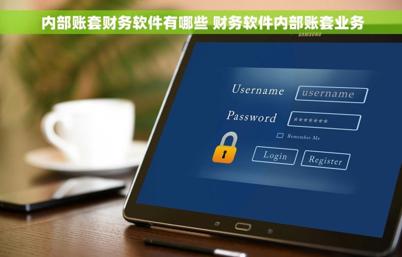  内部账套财务软件有哪些 财务软件内部账套业务