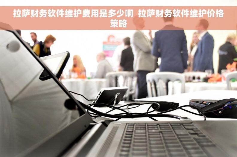 拉萨财务软件维护费用是多少啊  拉萨财务软件维护价格策略