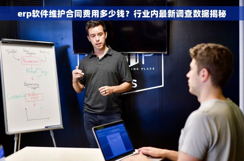 erp软件维护合同费用多少钱？行业内最新调查数据揭秘