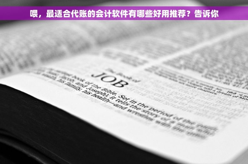 喂，最适合代账的会计软件有哪些好用推荐？告诉你
