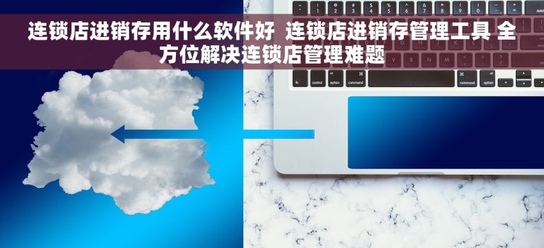 连锁店进销存用什么软件好  连锁店进销存管理工具 全方位解决连锁店管理难题