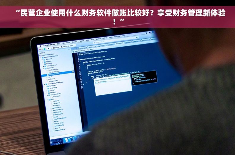 “民营企业使用什么财务软件做账比较好？享受财务管理新体验！”