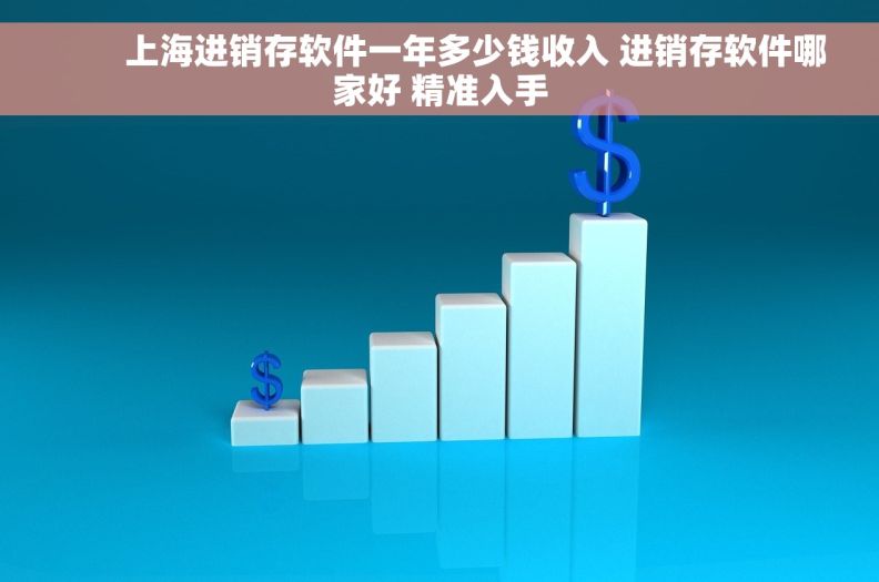         上海进销存软件一年多少钱收入 进销存软件哪家好 精准入手