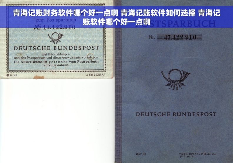 青海记账财务软件哪个好一点啊 青海记账软件如何选择 青海记账软件哪个好一点啊