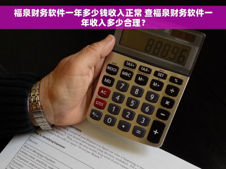 福泉财务软件一年多少钱收入正常 查福泉财务软件一年收入多少合理？