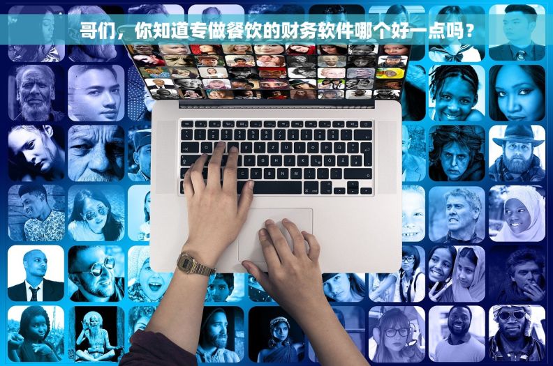 哥们，你知道专做餐饮的财务软件哪个好一点吗？