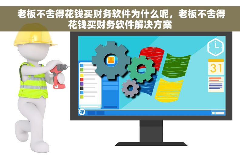  老板不舍得花钱买财务软件为什么呢，老板不舍得花钱买财务软件解决方案