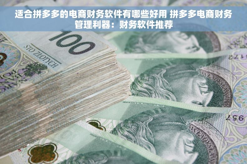 适合拼多多的电商财务软件有哪些好用 拼多多电商财务管理利器：财务软件推荐