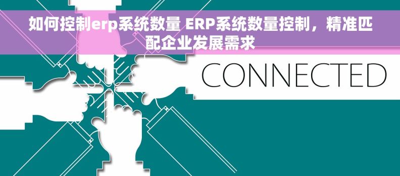 如何控制erp系统数量 ERP系统数量控制，精准匹配企业发展需求