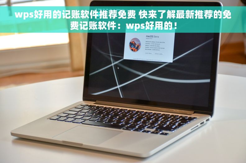 wps好用的记账软件推荐免费 快来了解最新推荐的免费记账软件：wps好用的！