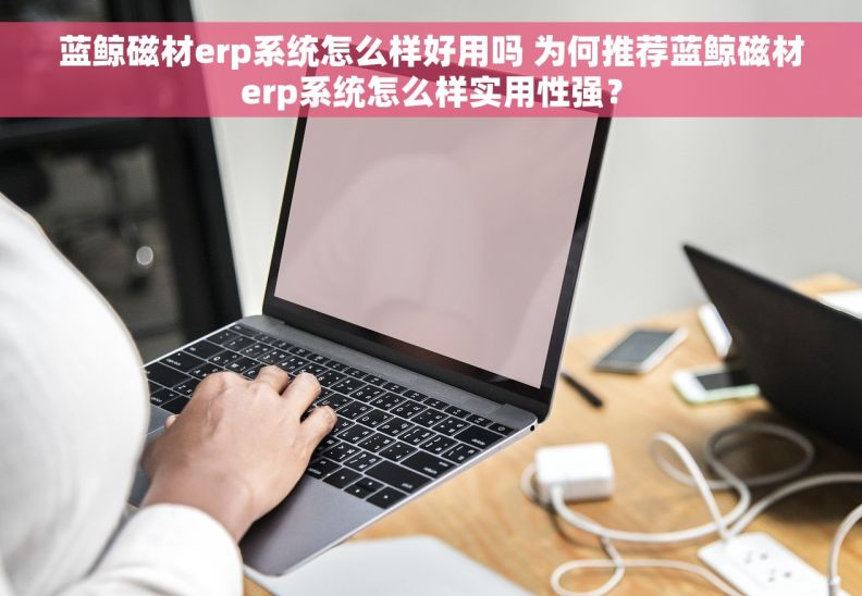 蓝鲸磁材erp系统怎么样好用吗 为何推荐蓝鲸磁材erp系统怎么样实用性强？