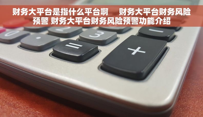 财务大平台是指什么平台啊     财务大平台财务风险预警 财务大平台财务风险预警功能介绍