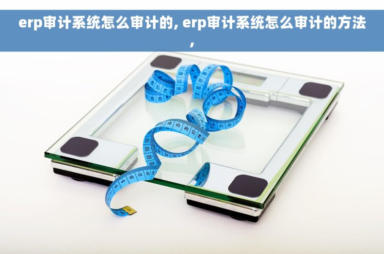 erp审计系统怎么审计的, erp审计系统怎么审计的方法,