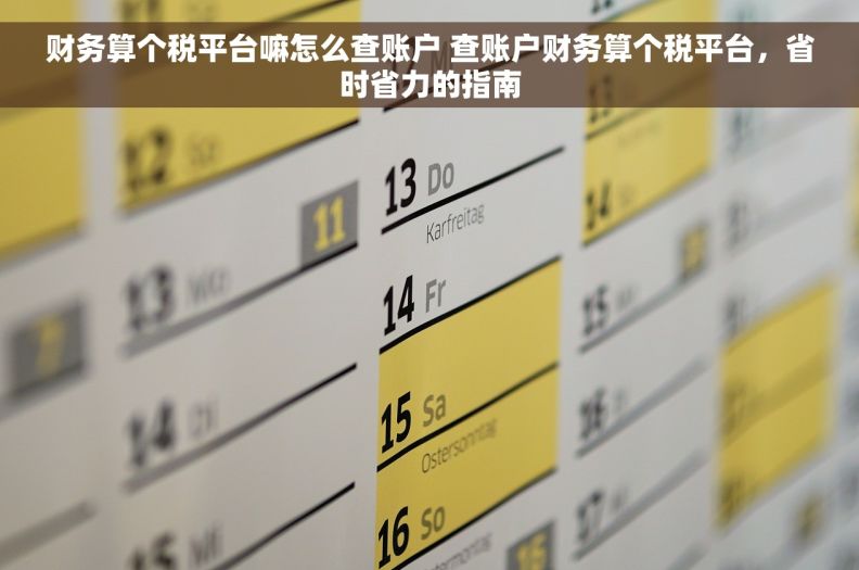财务算个税平台嘛怎么查账户 查账户财务算个税平台，省时省力的指南