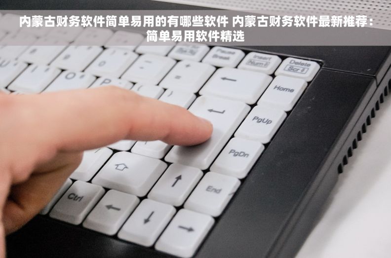 内蒙古财务软件简单易用的有哪些软件 内蒙古财务软件最新推荐：简单易用软件精选