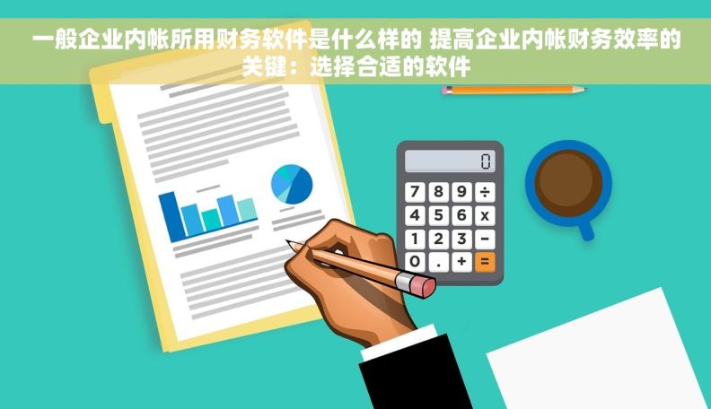 一般企业内帐所用财务软件是什么样的 提高企业内帐财务效率的关键：选择合适的软件