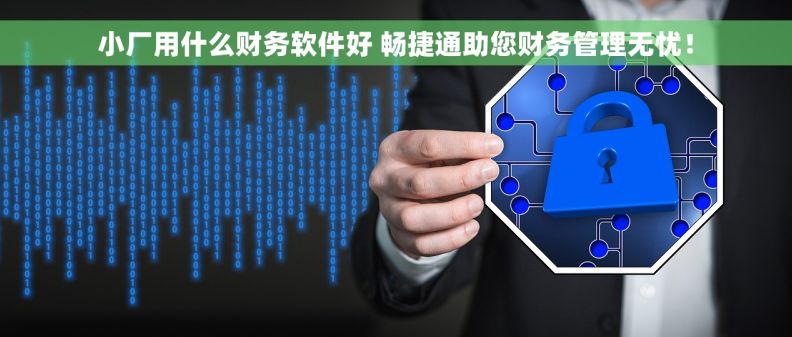 小厂用什么财务软件好 畅捷通助您财务管理无忧！
