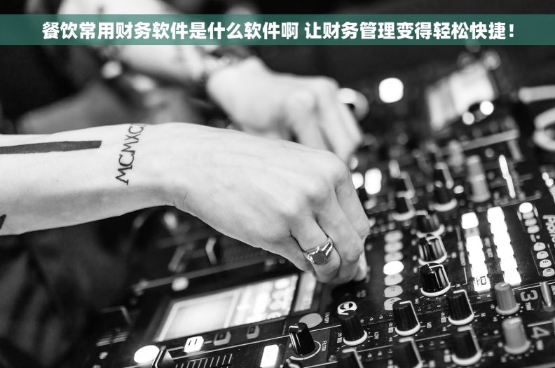 餐饮常用财务软件是什么软件啊 让财务管理变得轻松快捷！