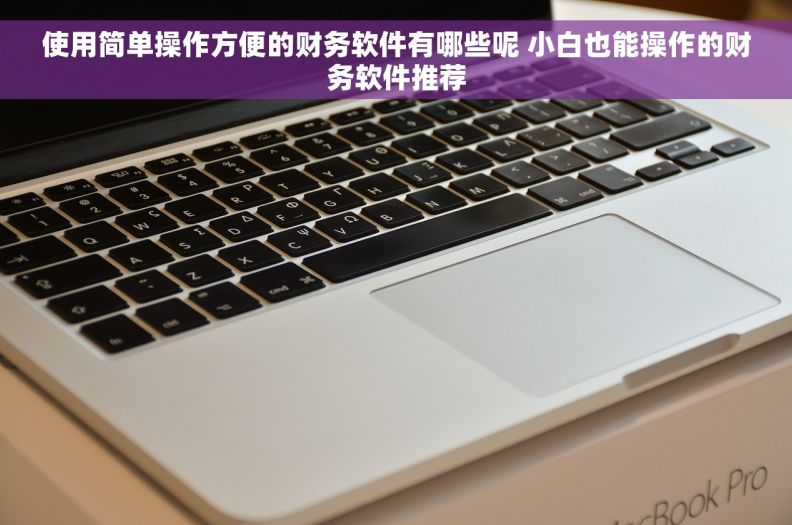 使用简单操作方便的财务软件有哪些呢 小白也能操作的财务软件推荐