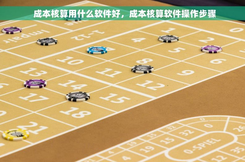   成本核算用什么软件好，成本核算软件操作步骤