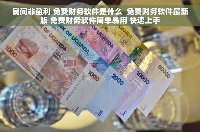 民间非盈利 免费财务软件是什么  免费财务软件最新版 免费财务软件简单易用 快速上手