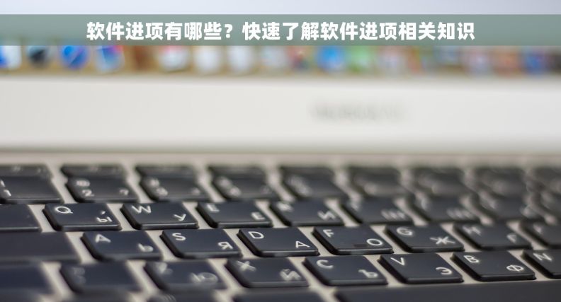 软件进项有哪些？快速了解软件进项相关知识