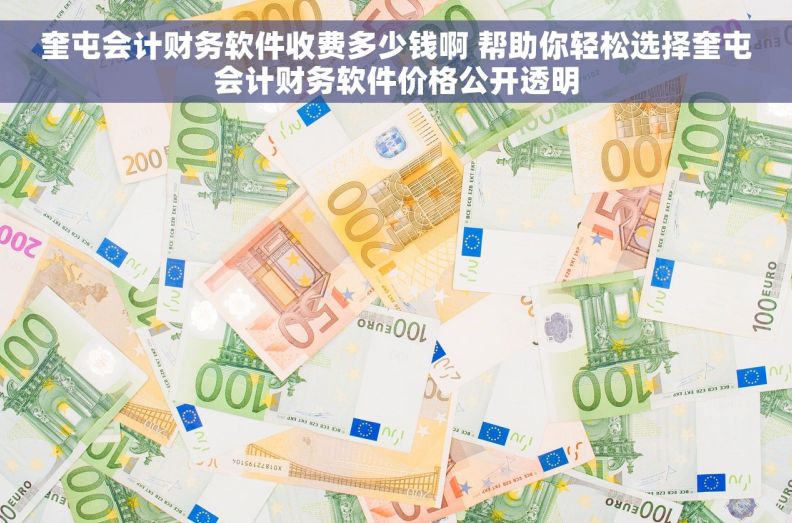 奎屯会计财务软件收费多少钱啊 帮助你轻松选择奎屯会计财务软件价格公开透明