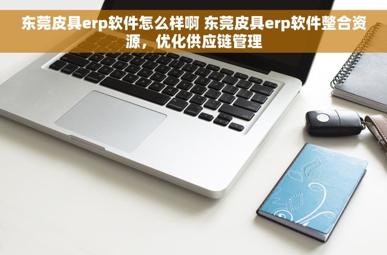 东莞皮具erp软件怎么样啊 东莞皮具erp软件整合资源，优化供应链管理