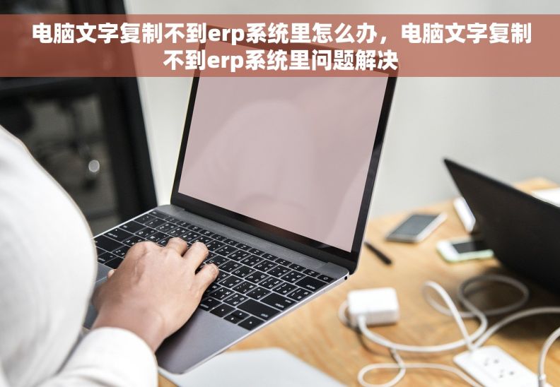 电脑文字复制不到erp系统里怎么办，电脑文字复制不到erp系统里问题解决
