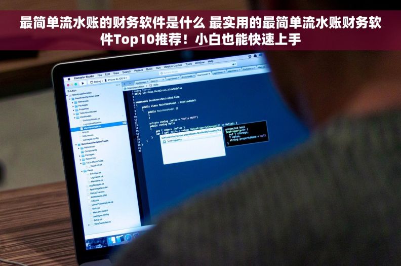 最简单流水账的财务软件是什么 最实用的最简单流水账财务软件Top10推荐！小白也能快速上手