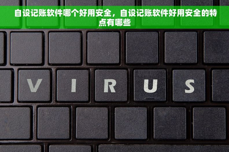  自设记账软件哪个好用安全，自设记账软件好用安全的特点有哪些