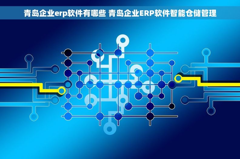 青岛企业erp软件有哪些 青岛企业ERP软件智能仓储管理