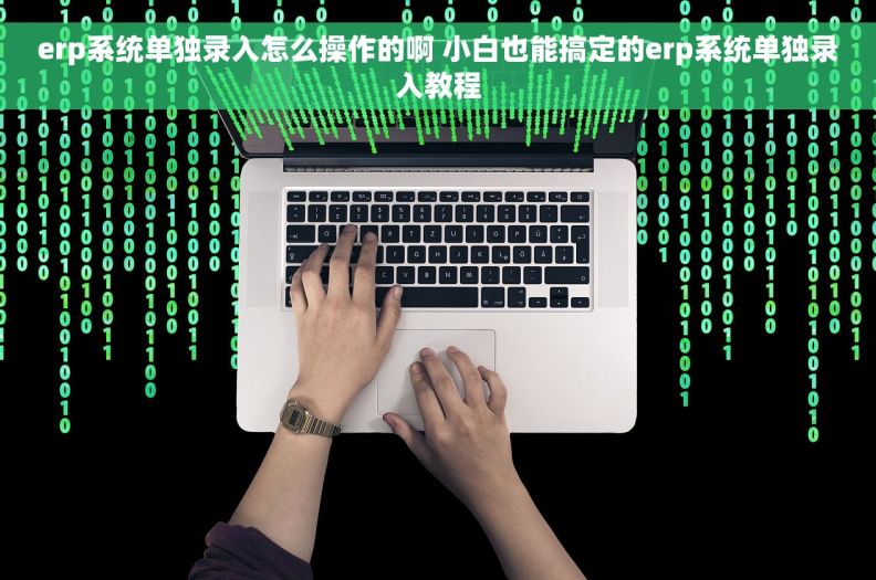 erp系统单独录入怎么操作的啊 小白也能搞定的erp系统单独录入教程