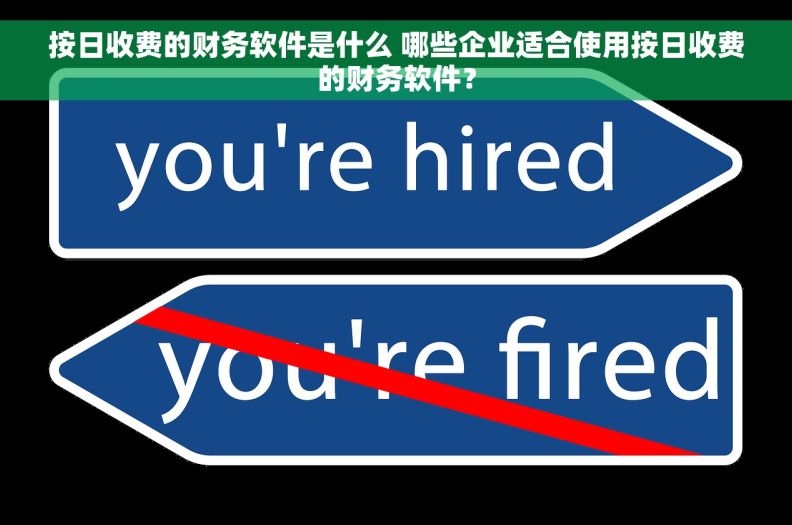 按日收费的财务软件是什么 哪些企业适合使用按日收费的财务软件？