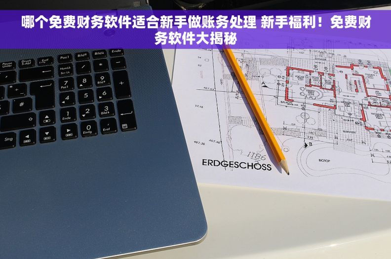 哪个免费财务软件适合新手做账务处理 新手福利！免费财务软件大揭秘