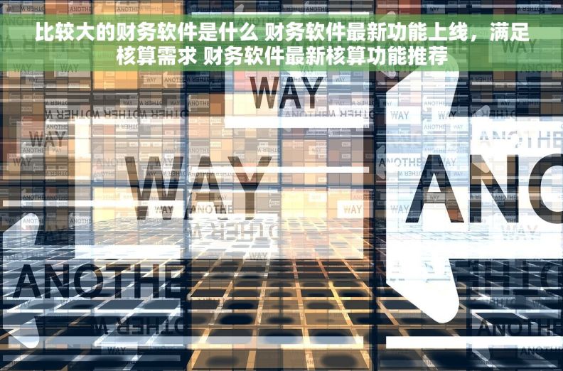 比较大的财务软件是什么 财务软件最新功能上线，满足核算需求 财务软件最新核算功能推荐