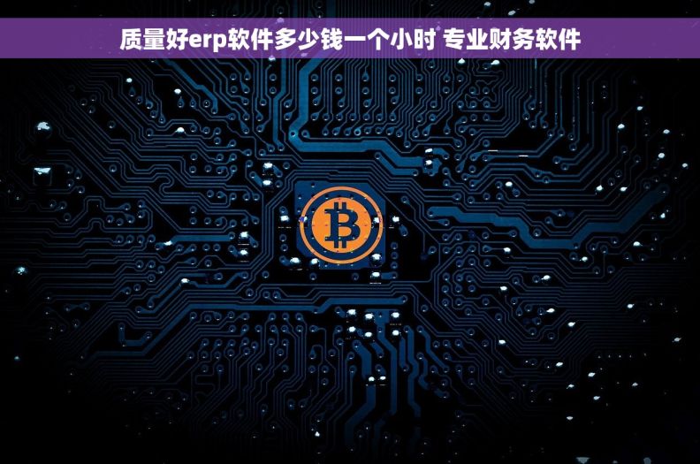 质量好erp软件多少钱一个小时 专业财务软件