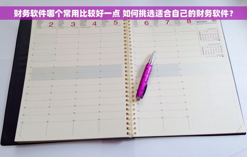 财务软件哪个常用比较好一点 如何挑选适合自己的财务软件？