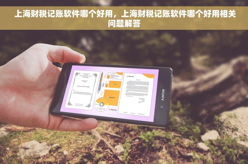  上海财税记账软件哪个好用，上海财税记账软件哪个好用相关问题解答