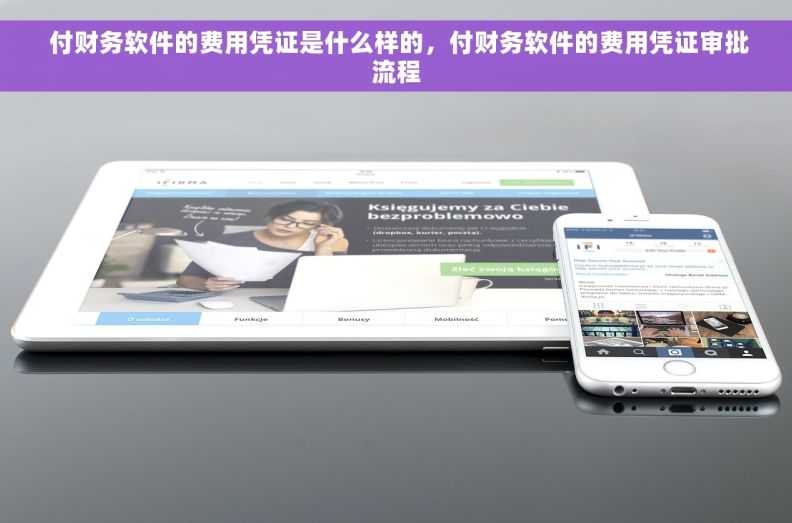  付财务软件的费用凭证是什么样的，付财务软件的费用凭证审批流程