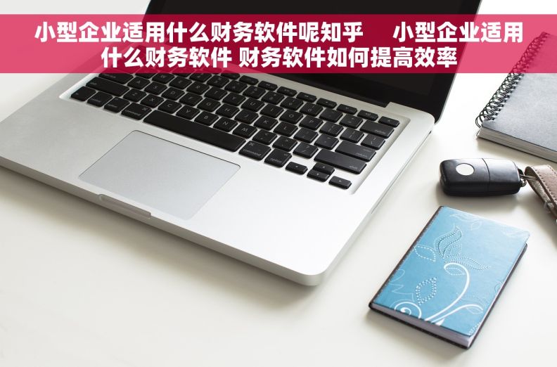 小型企业适用什么财务软件呢知乎     小型企业适用什么财务软件 财务软件如何提高效率