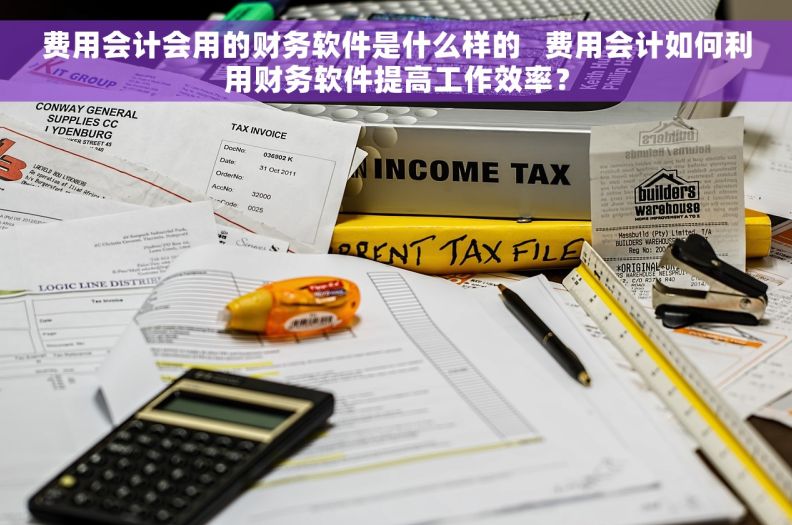 费用会计会用的财务软件是什么样的   费用会计如何利用财务软件提高工作效率？