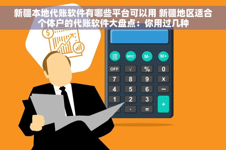 新疆本地代账软件有哪些平台可以用 新疆地区适合个体户的代账软件大盘点：你用过几种