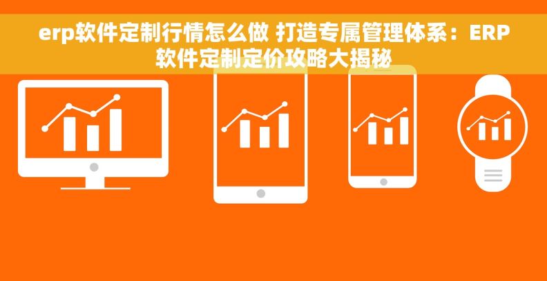 erp软件定制行情怎么做 打造专属管理体系：ERP软件定制定价攻略大揭秘